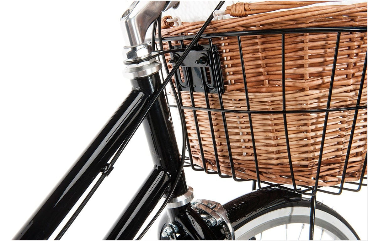 Baskets, Carriers & Bags – Brown's Sports & Cycle Co. Ltd.